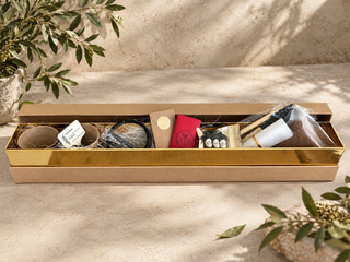The Bonsai Journey™ | Premium Bonsai Growing Kit