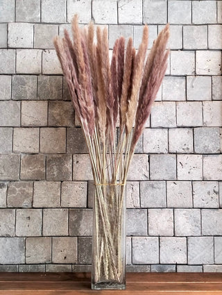Dried Soft Feather Pampas Grass