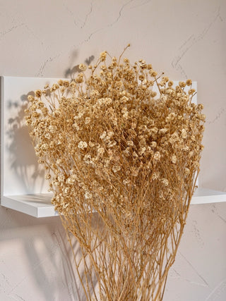 Ivory Preserved Baby’s Breath