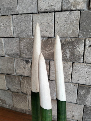 Velvet Touchz Sansevieria