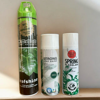 Leaf Shine Spray