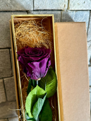 Single Premium Infinite Rose Gift Box ‘Royal Purple’