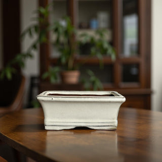 Japanese Tokoname Bonsai Pot
