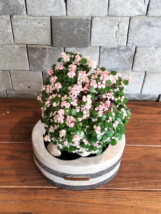 Marble Muse: Pink Jade Bonsai | Artisan Marble Collection