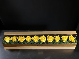 Golden Glow — Yellow Roses