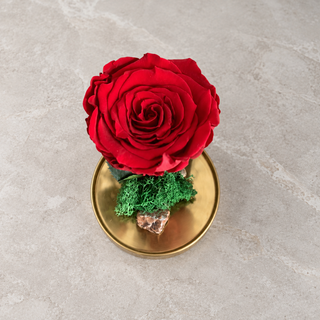 RED ∞ GOLD