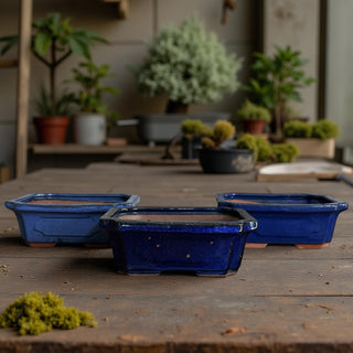 Japanese Tokoname Bonsai Pot