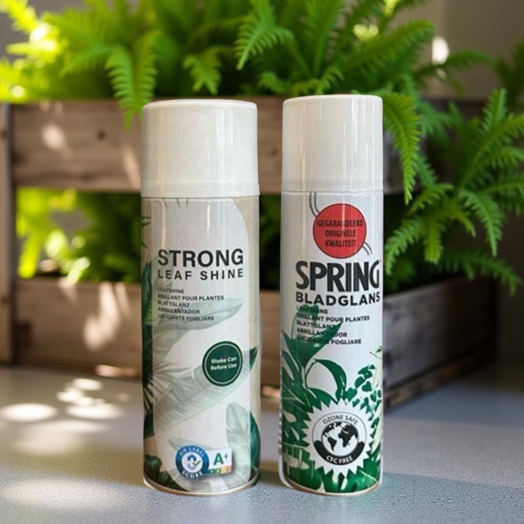 indoor plant leaf shine SPRING Leaf Shine Spray for Indoor Plants – ROUGE 'N' LOVE ™