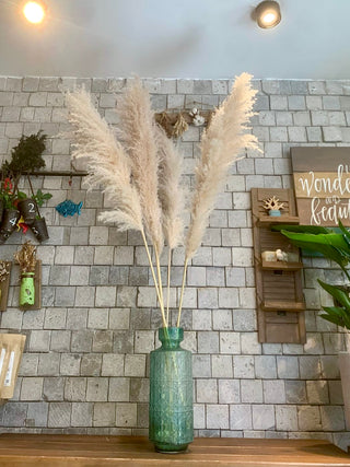 Dried Fluffy Pampas Grass