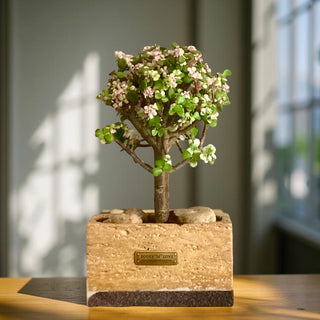 Marble Muse: Pink Jade Bonsai | Artisan Marble Pottery Collection