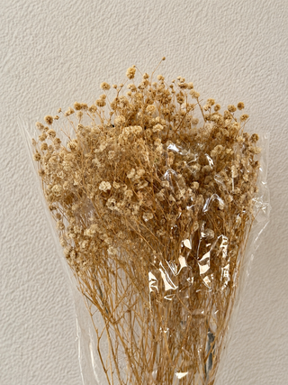 Ivory Preserved Baby’s Breath