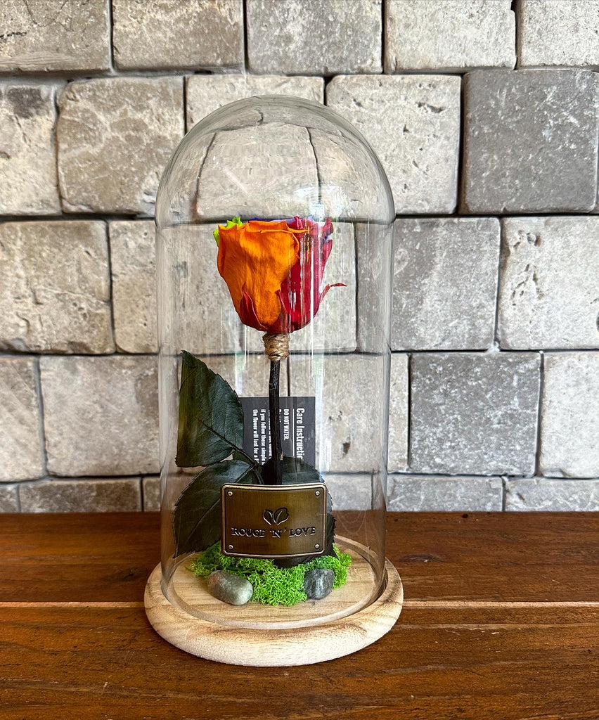 Infinite Roses – ROUGE ‘N’ LOVE