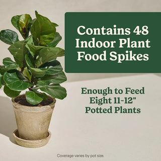 Miracle-Gro® Indoor Plant Food Spikes | Slow-Release (6-12-6)