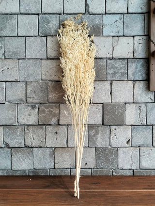 Dried Botanical Decor