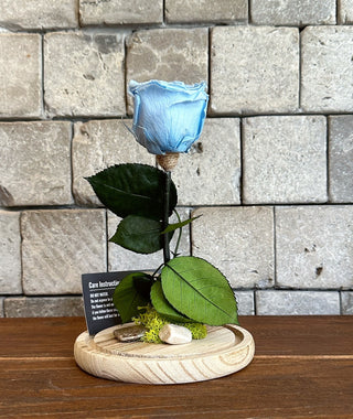 Ice Blue Infinite Rose *Tall Vase*