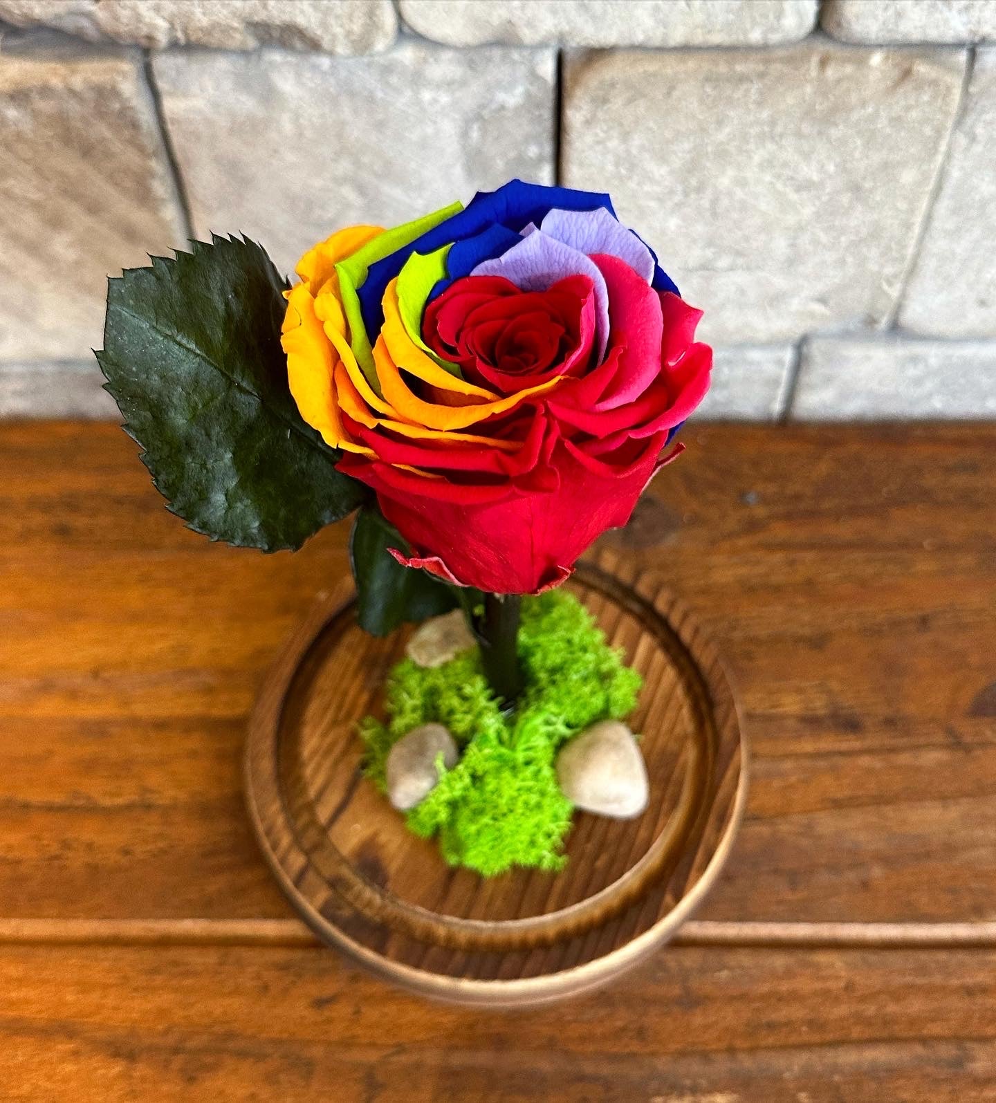 The Rainbow Infinite Rose *SM Vase*
