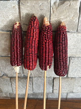 Decorative Dried Indian Corn Decor