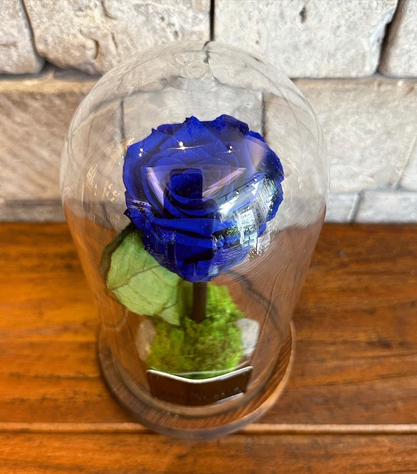 Royal Blue Infinite Rose 'Sapphire' *SM Vase*