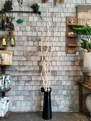 Dried Curly Willow Branches