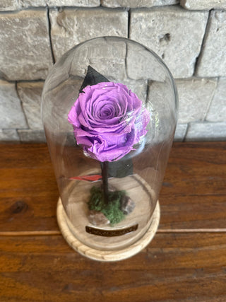 Lavender Glow Infinite Rose | Tall Vase