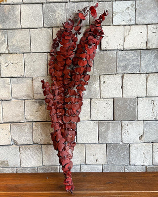 Dried ‘Red’ Eucalyptus Bunch