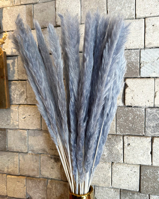 Dried Soft Feather Pampas Grass