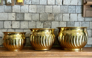 Indian Brass Luxe Pot