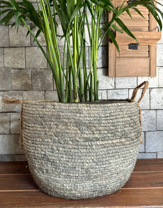 Root & Weave Areca