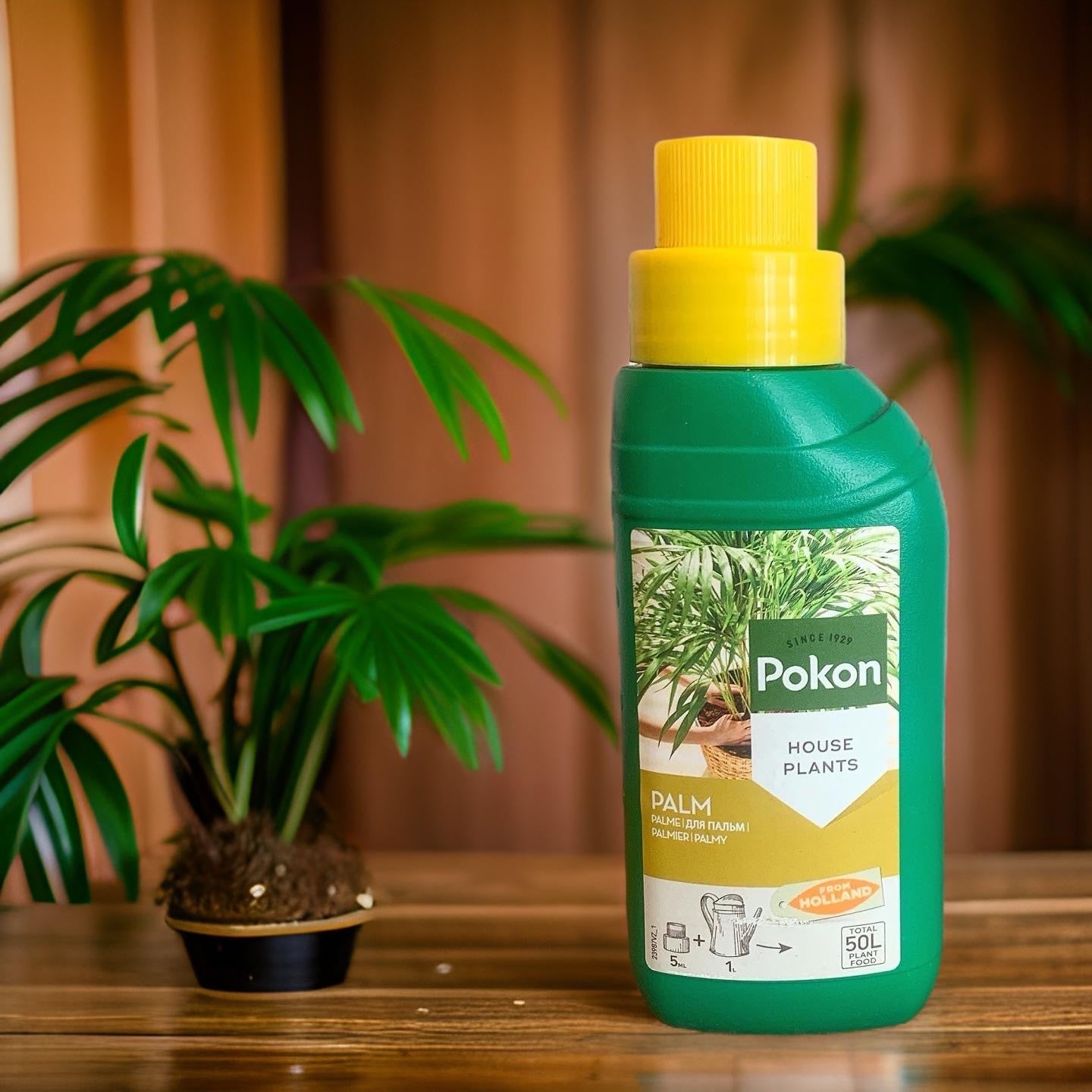 plant food for palm plants Pokon Palm Trees Food Fertilizer. Special Fertilizer for Palm Trees. Areca Palm Fertilizer. Kentia Palm Fertilizer. – ROUGE 'N' LOVE ™