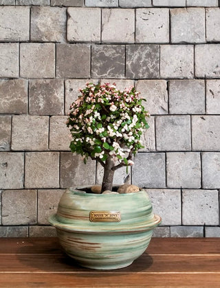 PinkJade Gem Bonsai