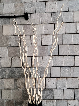 Dried Curly Willow Branches