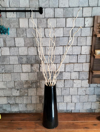 Dried Curly Willow Branches