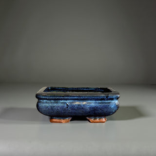 Japanese Tokoname Bonsai Pot