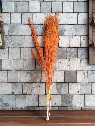 Dyed Botanical Decor