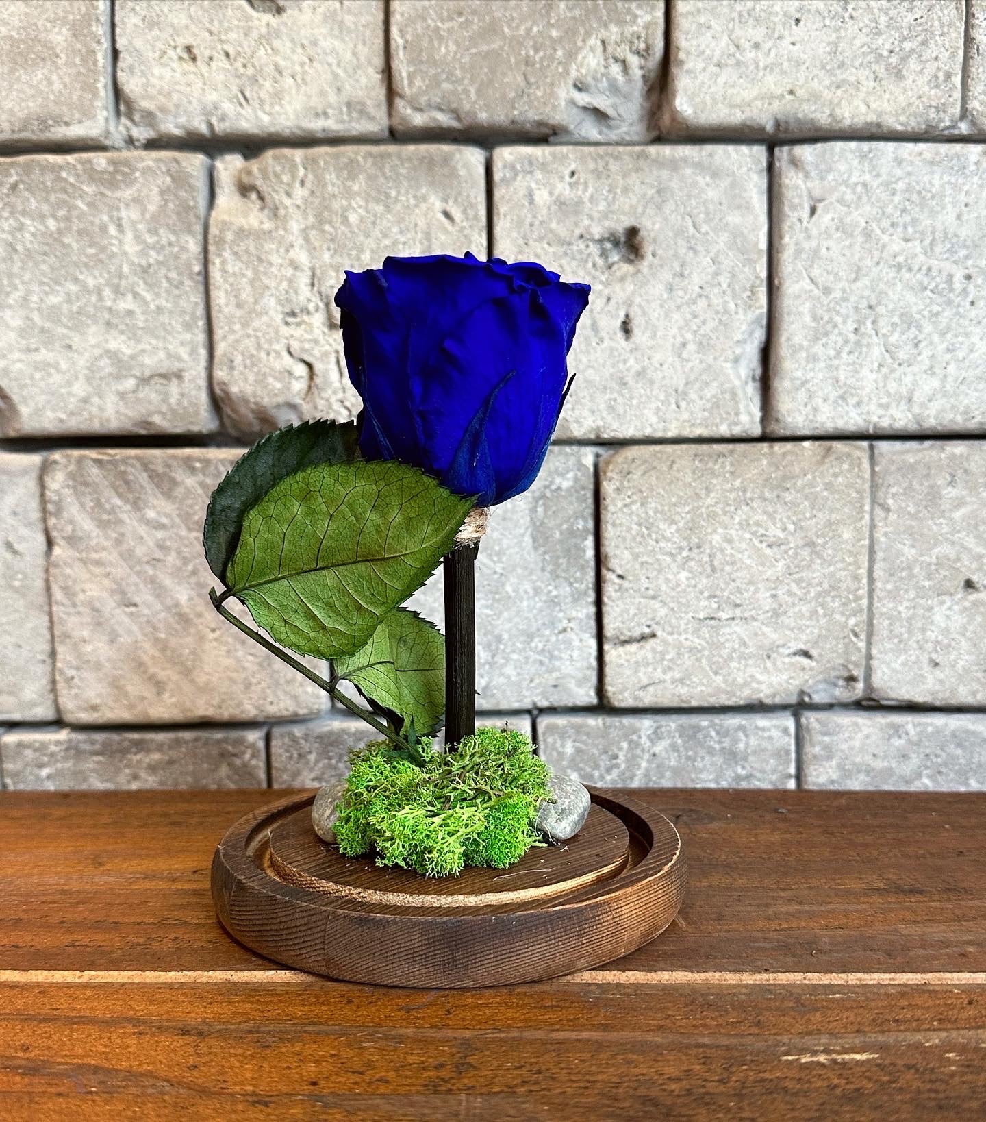Royal Blue Infinite Rose 'Sapphire' *SM Vase*