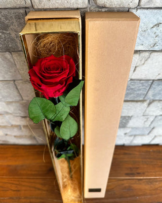 Single Premium Infinite Rose Gift Box ‘Scarlet Red’