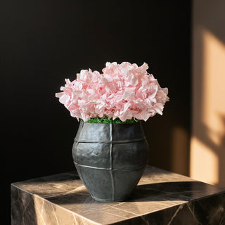 Blush Reverie – Preserved Hydrangea