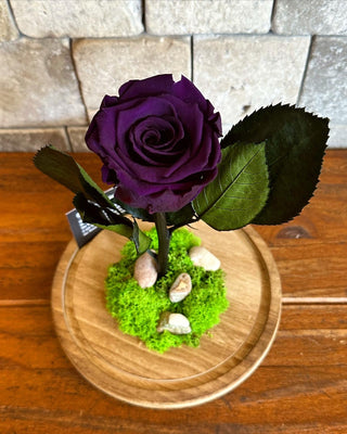 Royal Purple Infinite Rose *LG Vase*