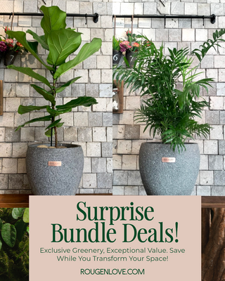 🦩 Jungle Fusion Duo 'Bundle'