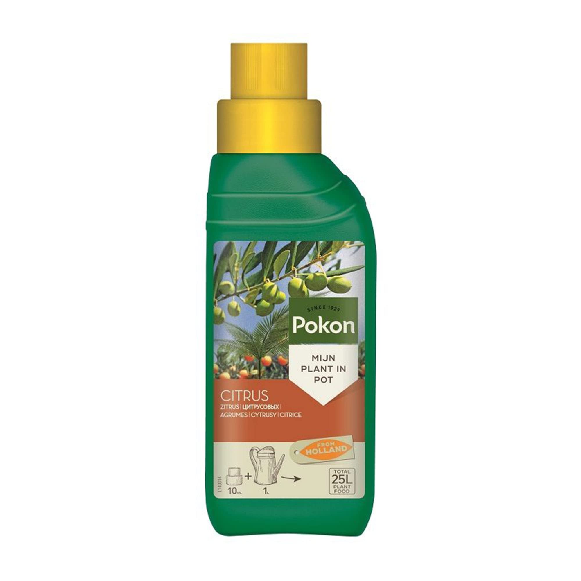 citrus fertilizer for potted plants Pokon Citrus Food Fertilizer. Special Fertilizer for Citrus Trees. – ROUGE 'N' LOVE ™