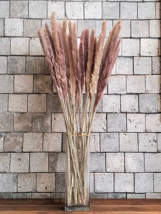 Dried Soft Feather Pampas Grass