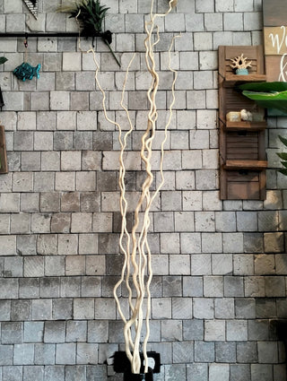 Dried Curly Willow Branches