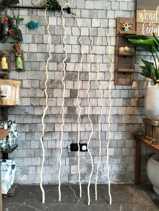 Dried Curly Willow Branches