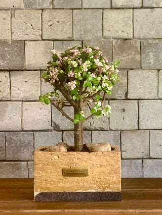 Marble Muse: Pink Jade Bonsai | Artisan Marble Pottery Collection