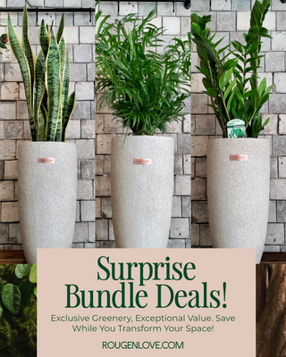 🍃 Luxe Green Oasis 'Bundle'