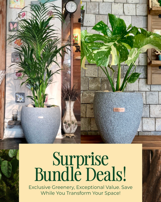 🍃 Luxe Green Oasis 'Bundle'