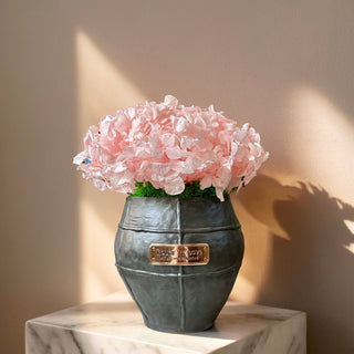 Blush Reverie – Preserved Hydrangea