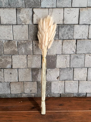 Dried Bunny-Tail Grass