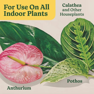 Miracle-Gro® Indoor Plant Food Liquid (1-1-1)