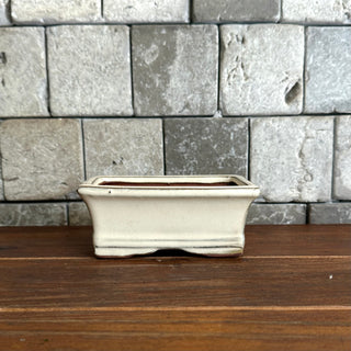 Japanese Tokoname Bonsai Pot